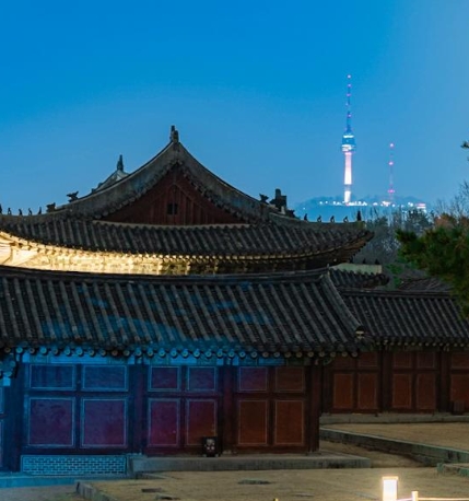 서울야경명소 창경궁 물빛연화