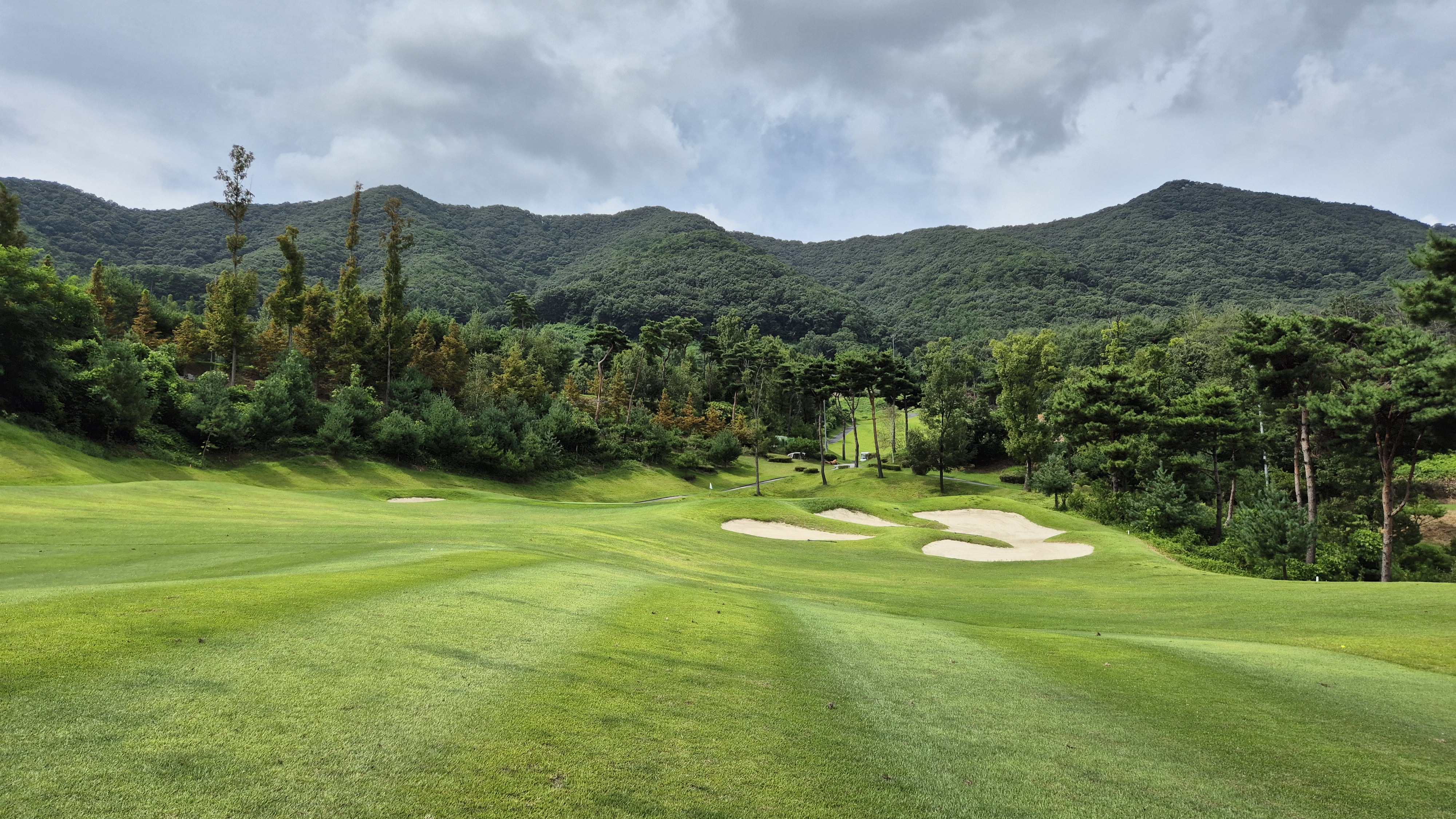세일cc 들길-산길 코스 사진 및 공략 정보