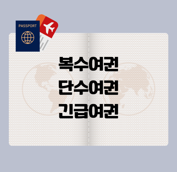 여권 종류&amp;#44; 복수 여권&amp;#44; 단수 여권&amp;#44; 긴급 여권