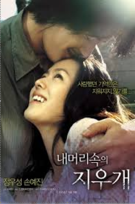 내 머리속의 지우개 영화 포스터