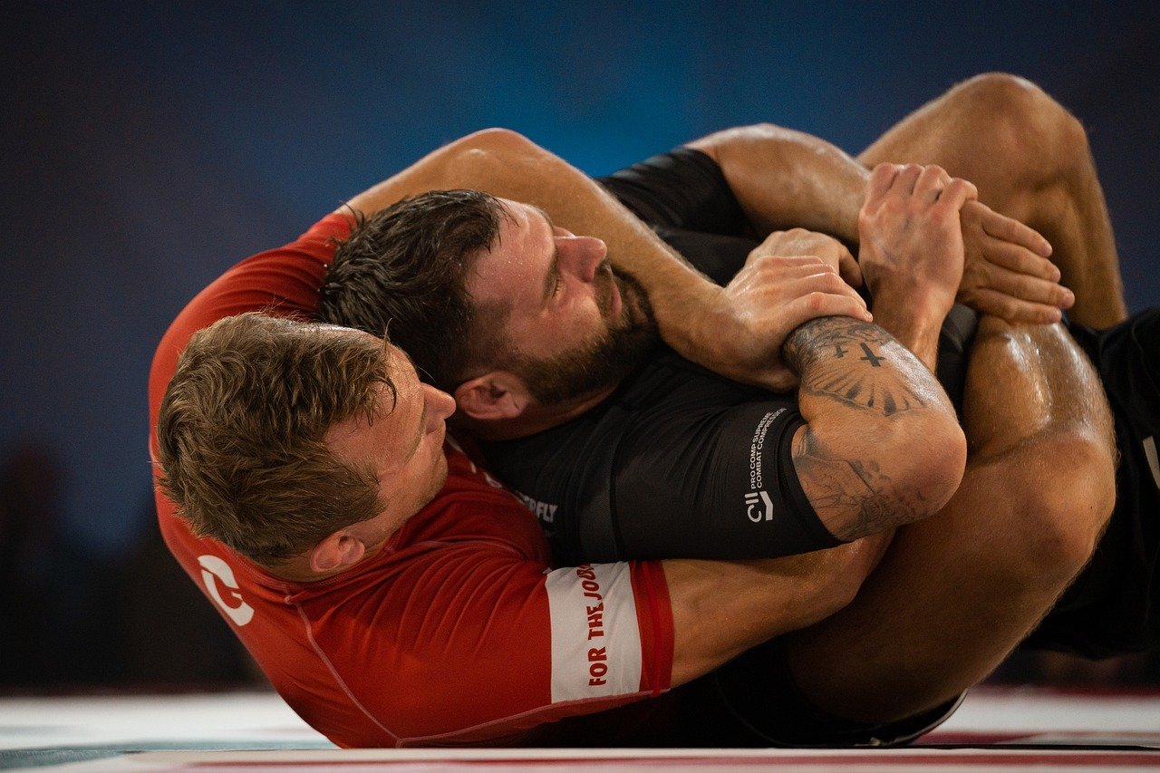 mma 경기모습