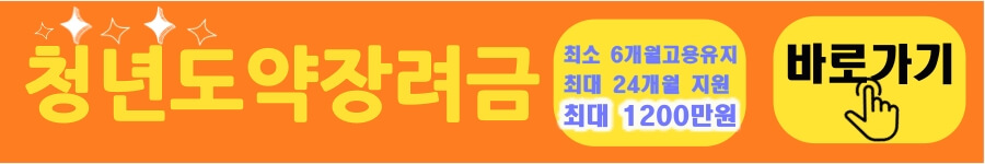 청년일자리 도약장려금