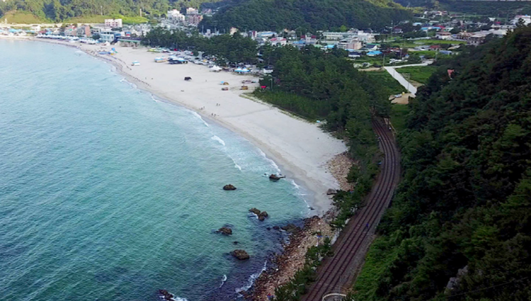 삼척 레일바이크