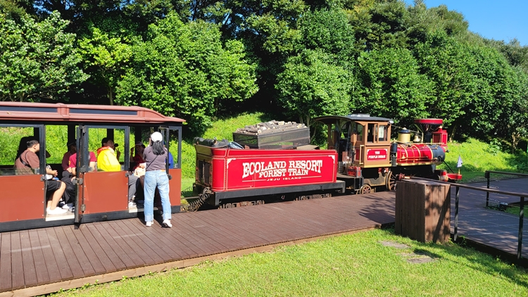 제주가족여행-곶자왈-기차여행-에코랜드 테마파크