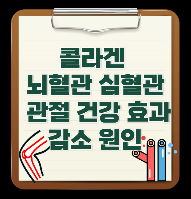 콜라겐-뇌혈관-심혈관-관절-건강-효과-감소-원인