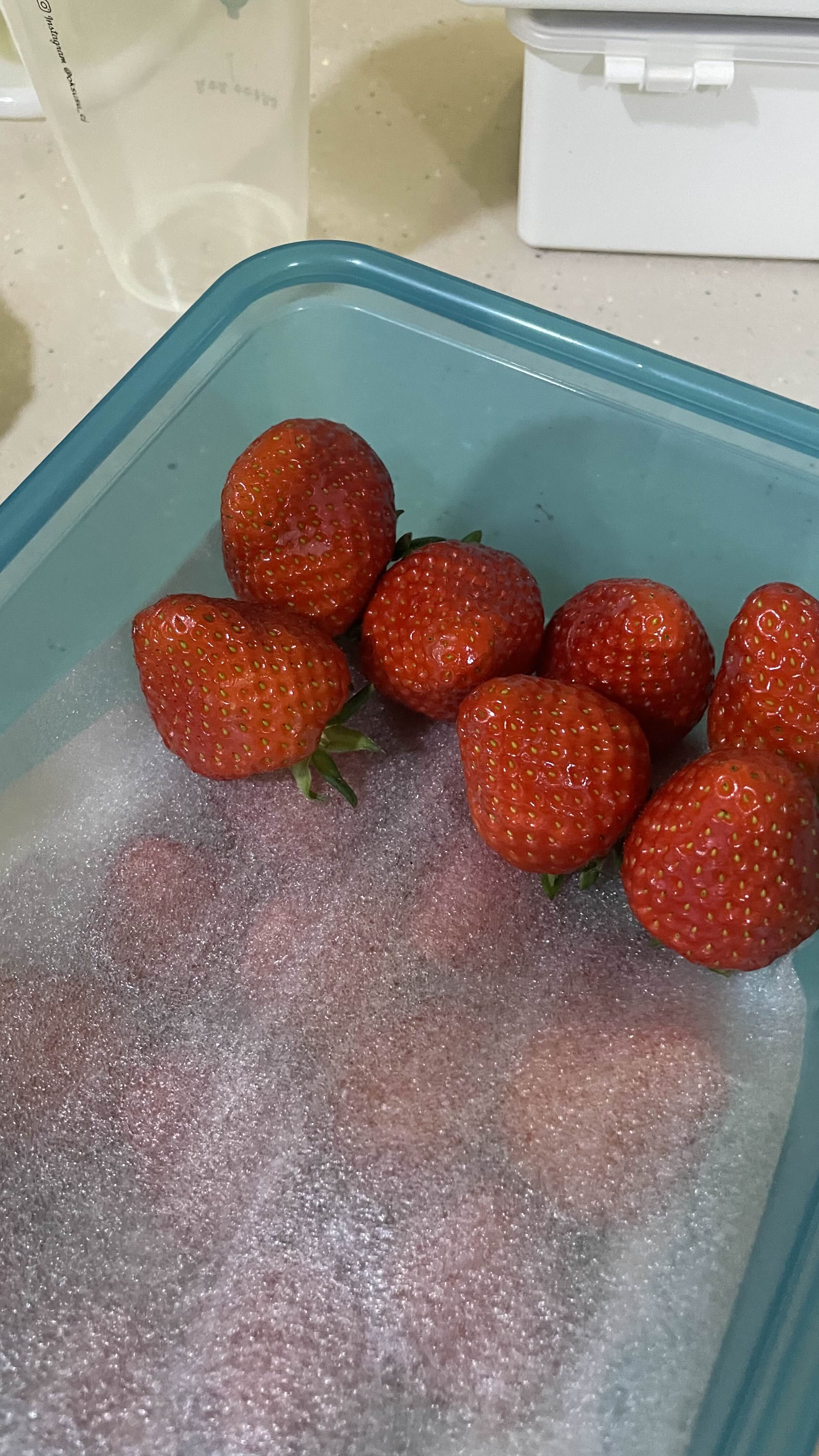 딸기 냉장고 보관 꿀팁