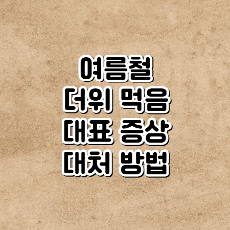 더위 먹었을때 증상 (더위 먹은 대표적인 증상과 해소방법)