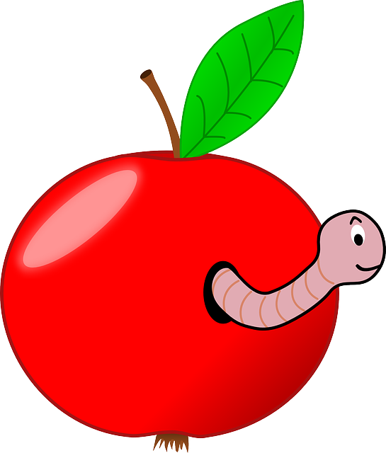 지네 꿈해몽 돈벌레 꿈해몽 벌레꿈해몽 황금지네