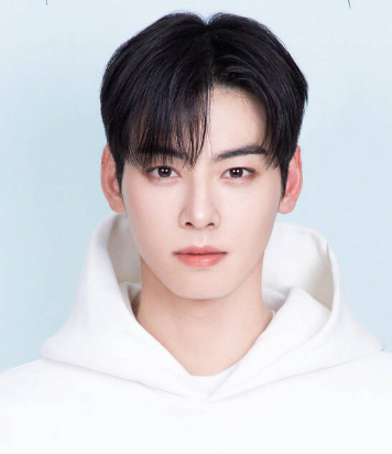 한류 스타 차은우