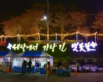 대청호 벚꽃축제_12