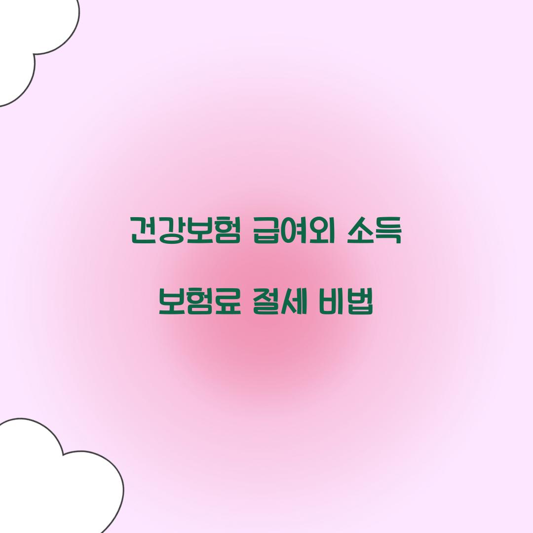 건강보험 급여외 소득 보험료
