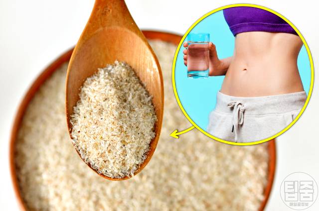 차전자피 효능 부작용 하루권장량 매일 차전자피다이어트