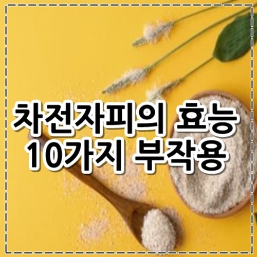 차전자피의 효능 10가지, 부작용 알아보기