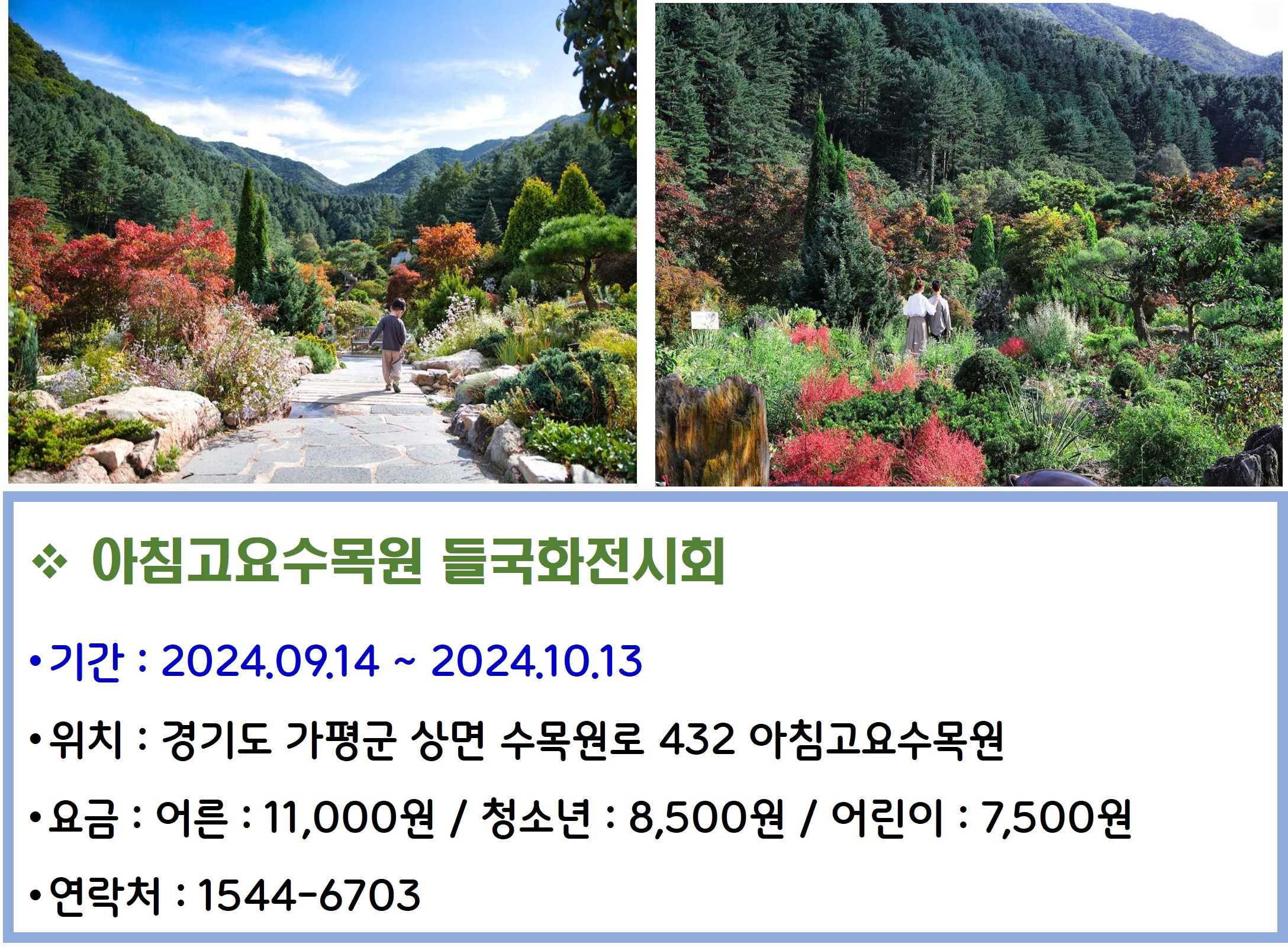 아침고요수목원 들국화전시회