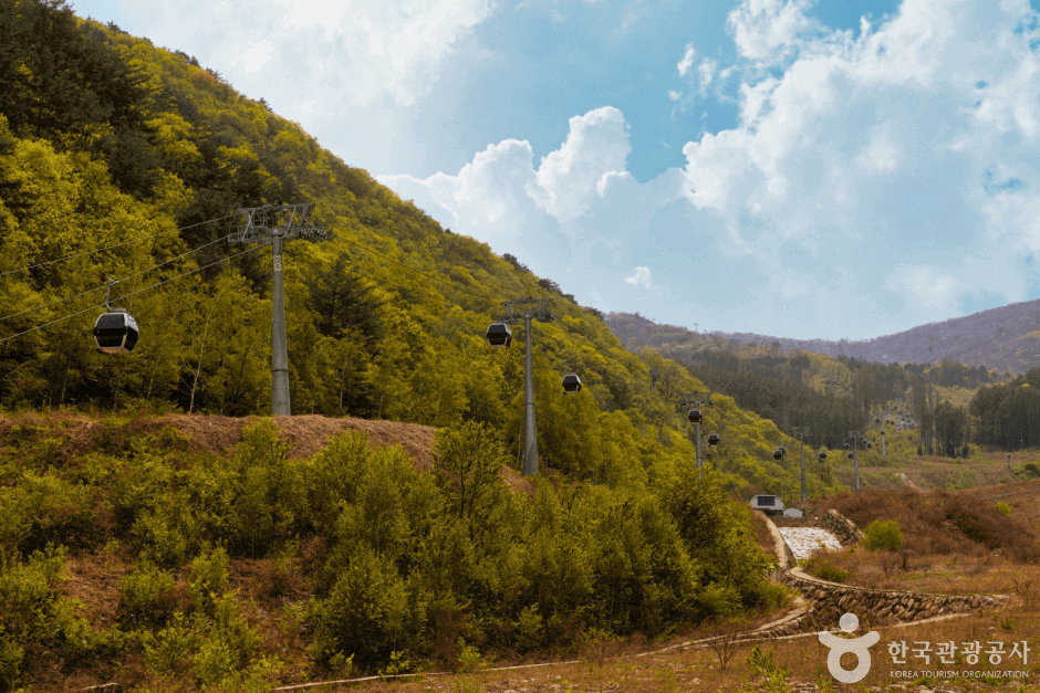 가리왕산 (사진출처:대한민국구석구석)