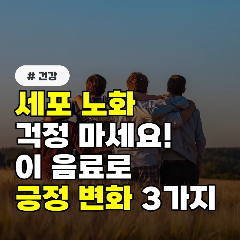 세포 노화 걱정된다면 주목! 이 음료 매일 마시면 나타나는 긍정 변화 3가지
