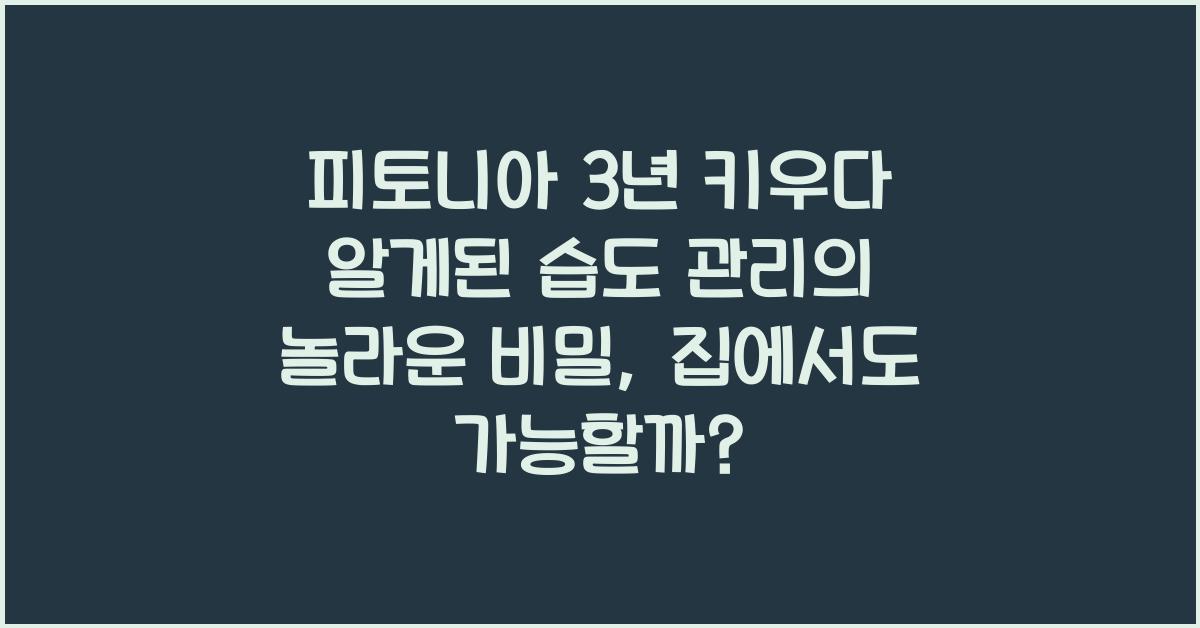 피토니아 3년 키우다 알게된 습도 관리의 놀라운 비밀