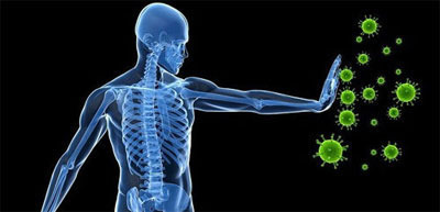 암예방에 좋은 음식