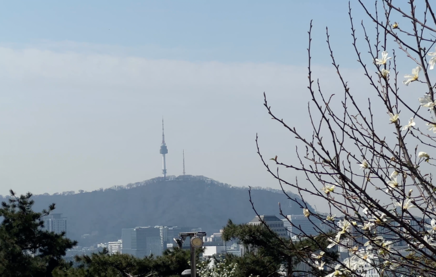 낙산공원에서-바라본-남산타워