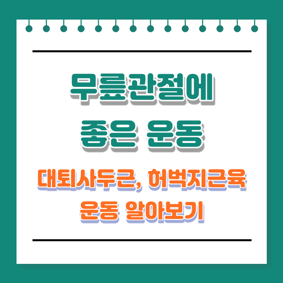 무릎관절 대퇴사두근 허벅지근육 운동