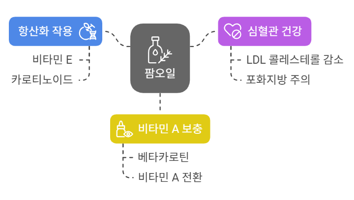 팜오일 효능