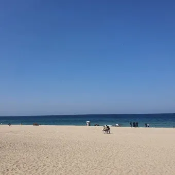 강원도 경포대 해수욕장과 강릉 가볼만한곳 best5 여행 자료집_13