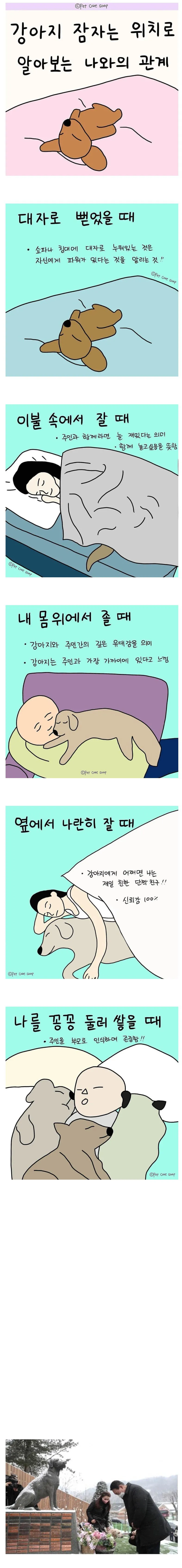 강아지-잠자는-위치로-알아보는-나와의-관계