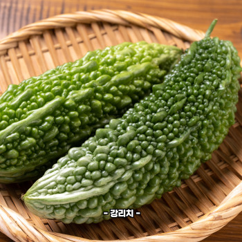 여주 효능