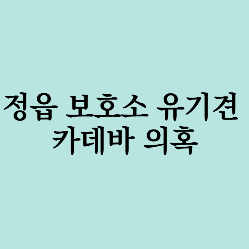 정읍보호소