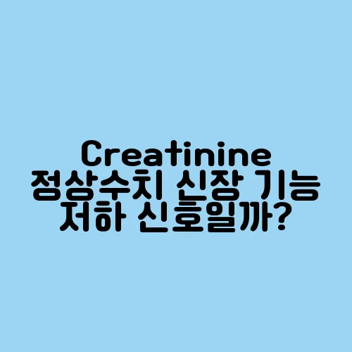 Creatinine 정상수치 신장 기능 저하 신호일까?
