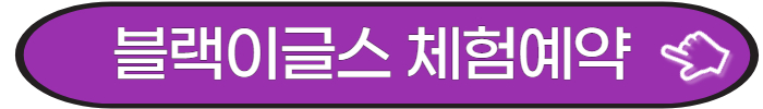 블랙이글스 체험예약