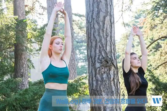 가르시니아 캄보지아 효능, 효과, 복용방법