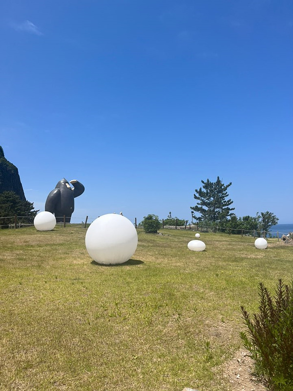 울릉도 카페 추천