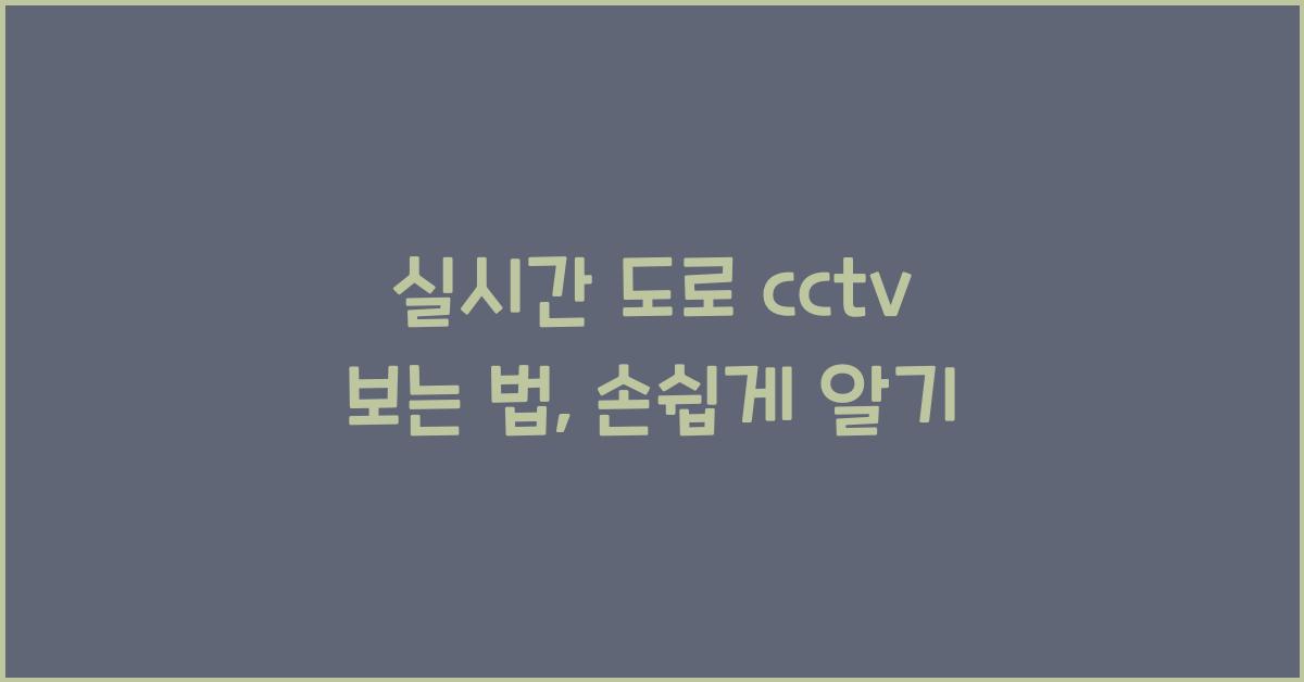실시간 도로 cctv 보는 법