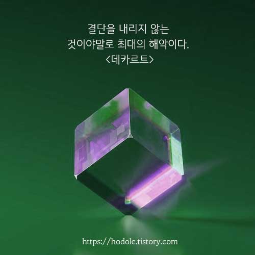 데카르트