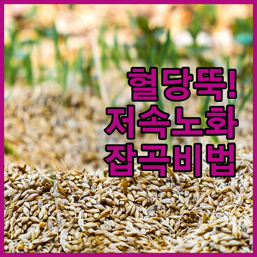 혈당 관리 돕는 저속노화 잡곡 브랜드..