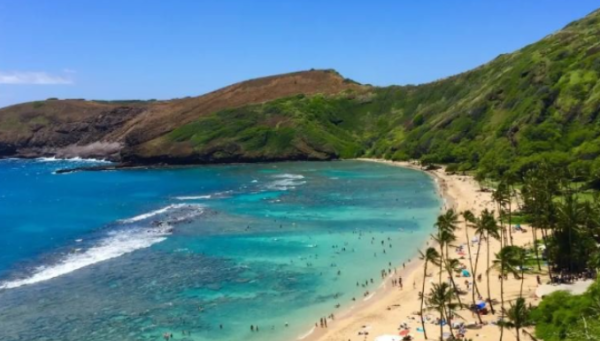 하와이 신혼여행