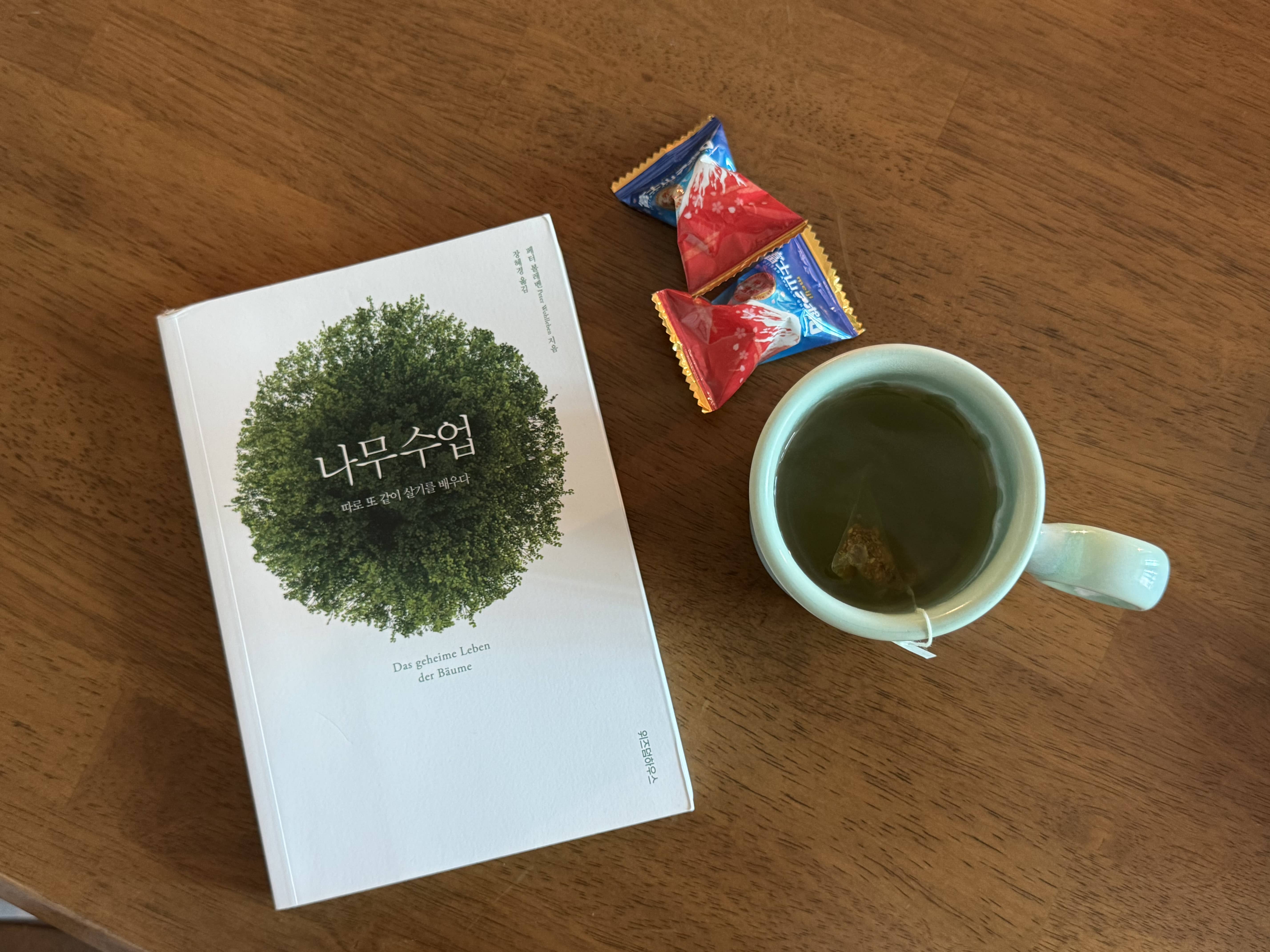 페터 볼레벤, 나무 수업 : 숲에서 배우는 생명의 지혜