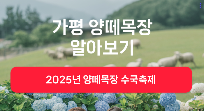 가평 양떼목장 수국축제 풍경 &ndash; 여름 가평 여행지