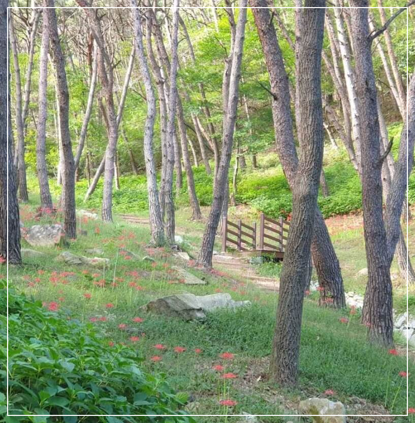 곡성 가볼만한곳 베스트10 동악산 하늘정원