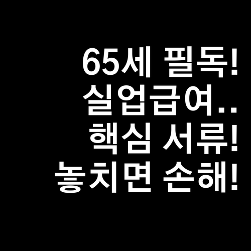 65세 이상 실업급여 신청 절차와 준..