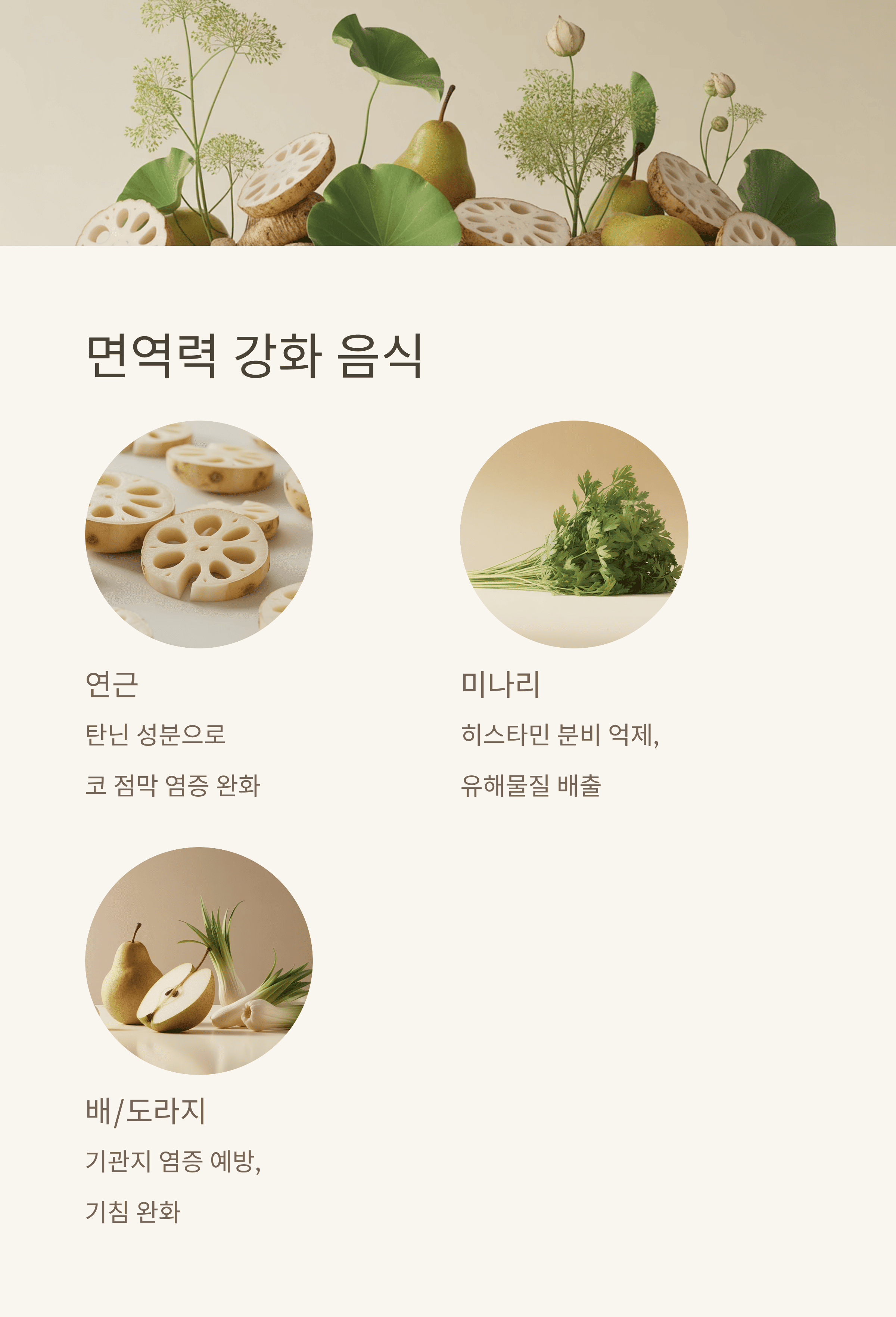 먼지 알레르기 비염! 증상 완화와 완벽 퇴치를 위한 필승 전략