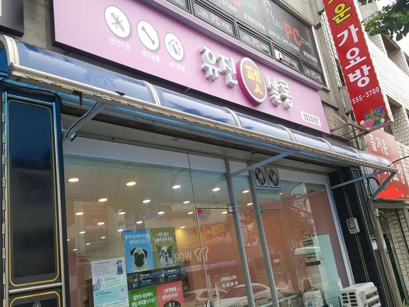1. 유진펫살롱 소개