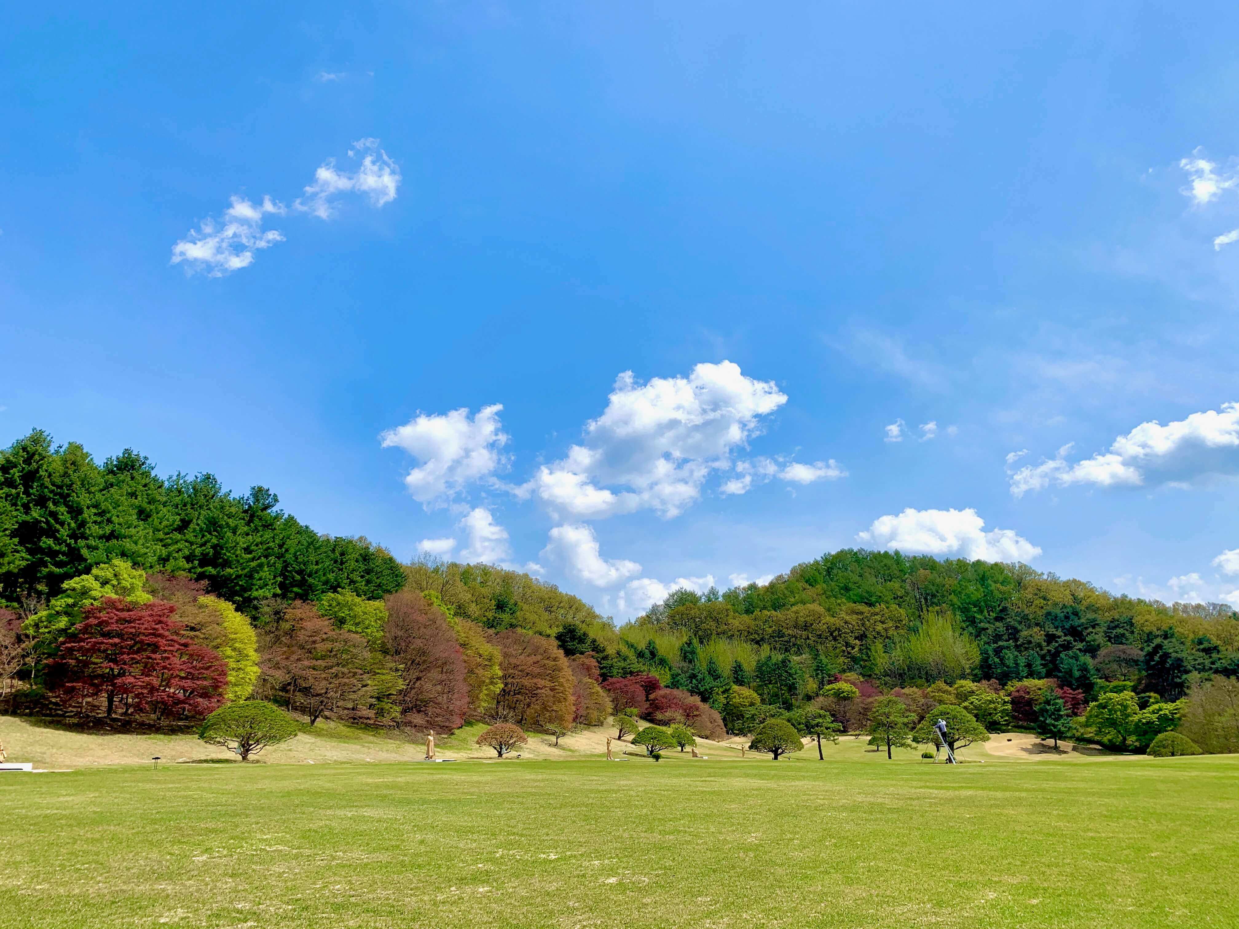 청남대 봄꽃축제 영춘제