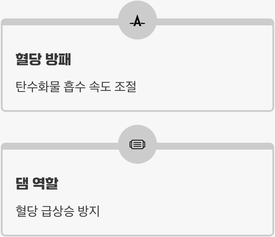 밥상의 든든한 방패, '식이섬유'의 힘