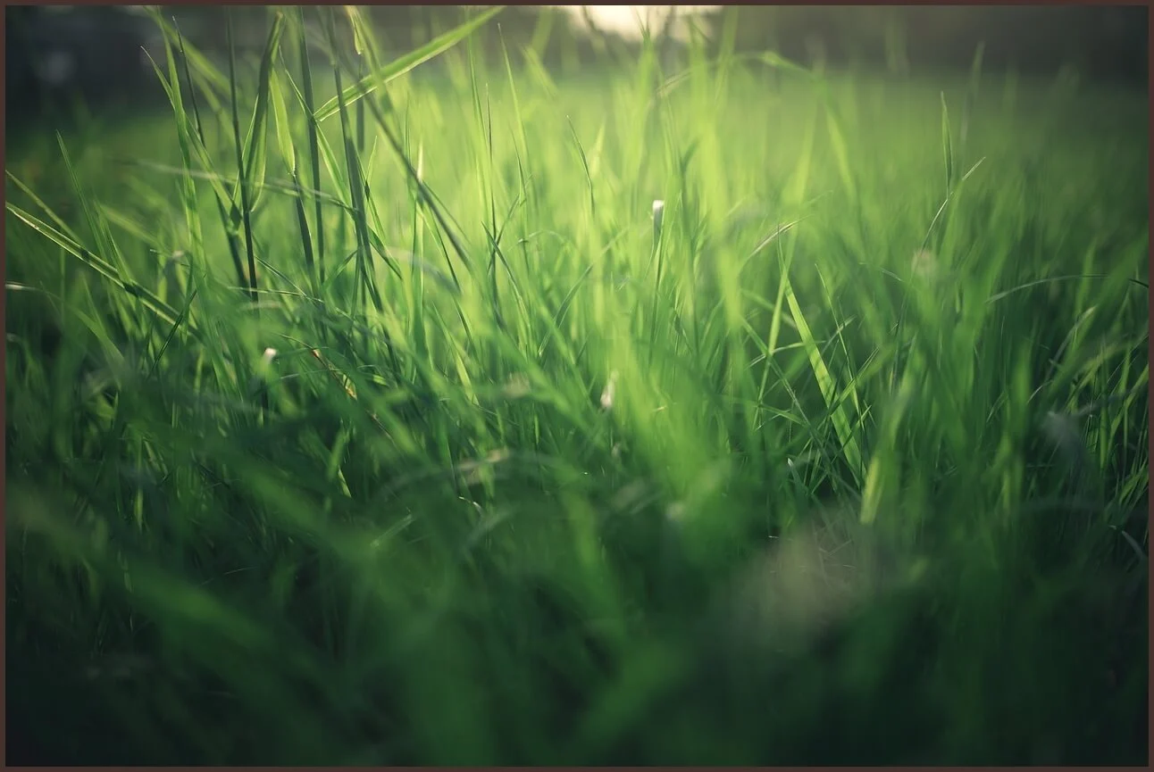 농협은행 정기예금 금리