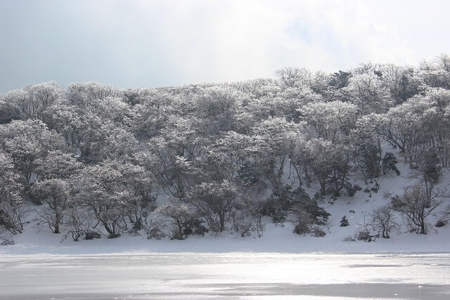 2025 한라산 탐방 사전예약 필수! 성판악·관음사 코스 신청 꿀팁