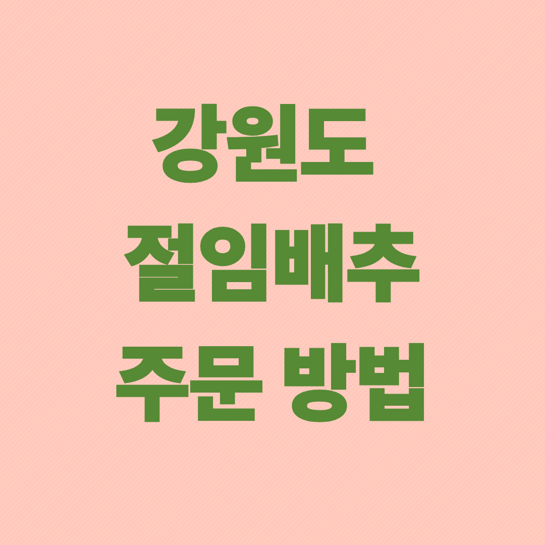 강원도 절임배추 주문방법