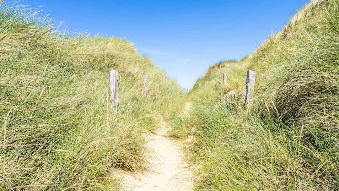 Listing requirements.