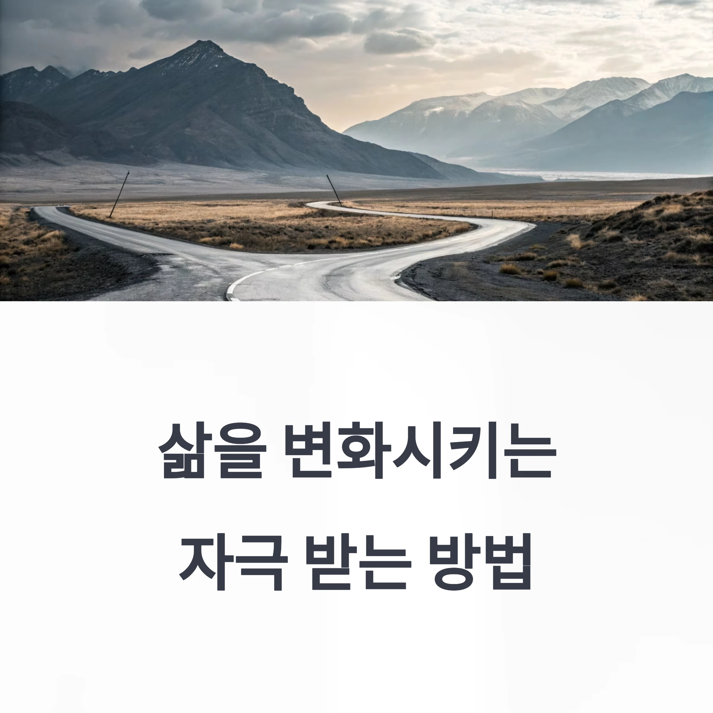 동기부여